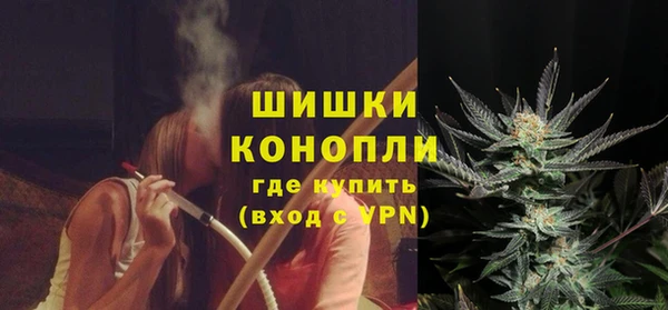 ГАЛЛЮЦИНОГЕННЫЕ ГРИБЫ Аркадак