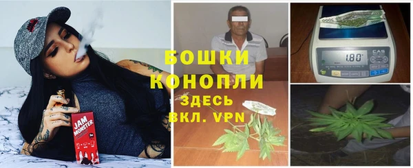 ГАЛЛЮЦИНОГЕННЫЕ ГРИБЫ Аркадак